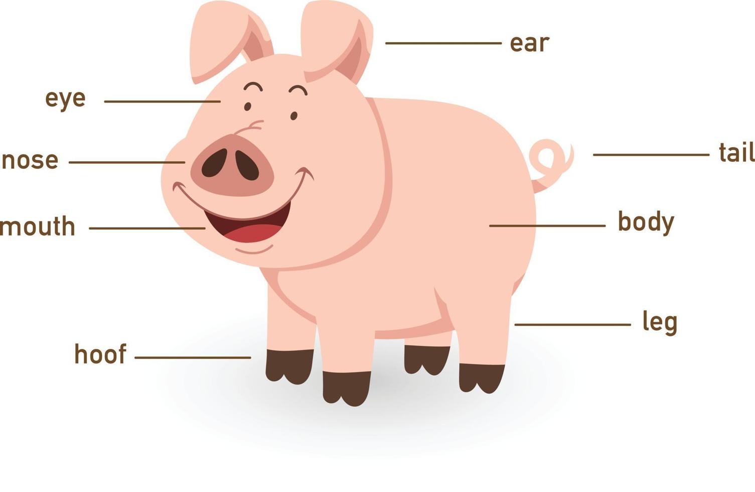 illustration du vocabulaire du cochon partie du corps vecteur