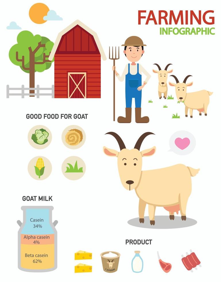 infographie de la ferme de chèvre, illustration vecteur