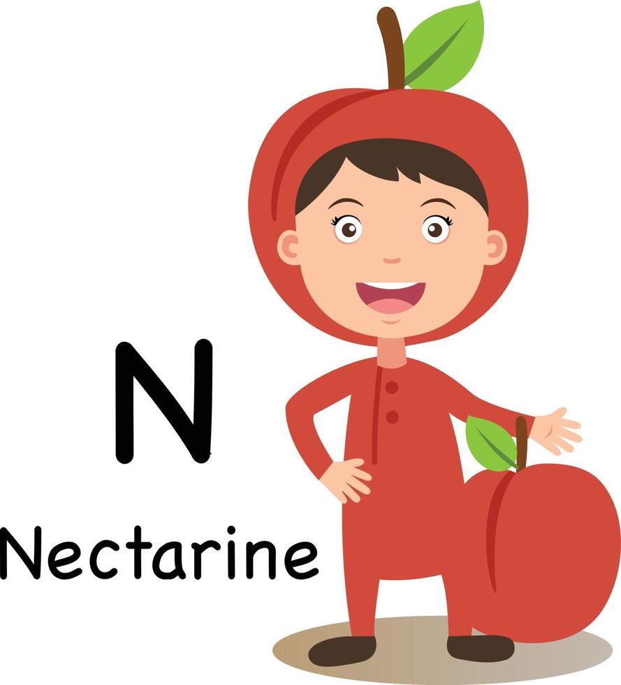 lettre de l'alphabet n-nectarine, vecteur