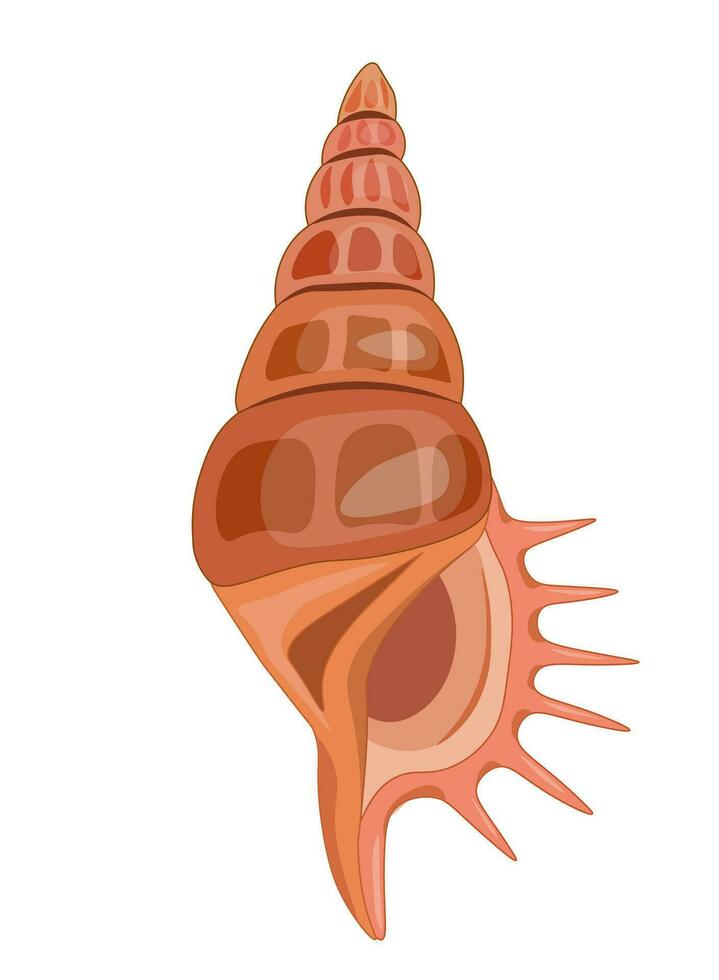 vecteur dessin animé illustration de coloré coquillages sur blanc Contexte.