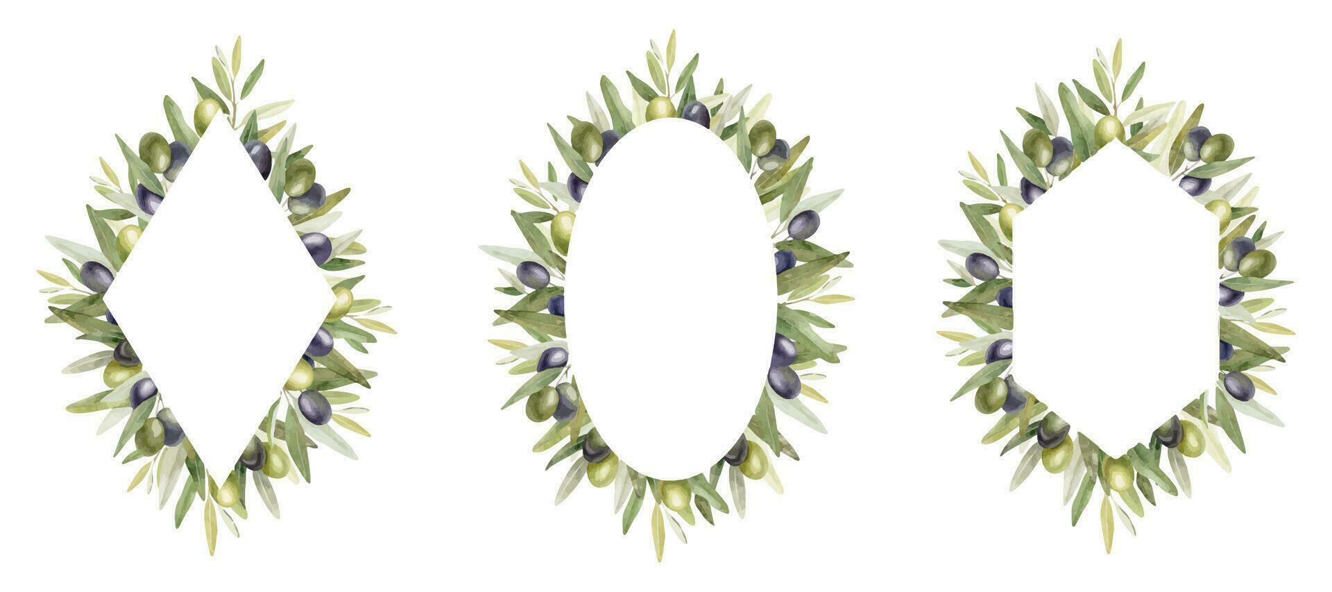 olive branches, feuilles et des fruits. ensemble cadres de branches olive arbre. couronne et modèles. aquarelle illustrations. pour menu, emballage conception, mariage invitation, enregistrer le Date ou salutation carte. vecteur