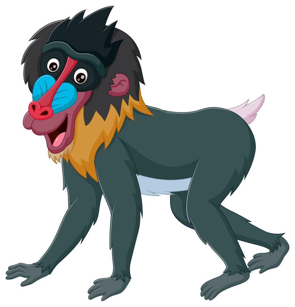 souriant dessin animé mandrill babouin isolé sur blanc Contexte. vecteur illustration