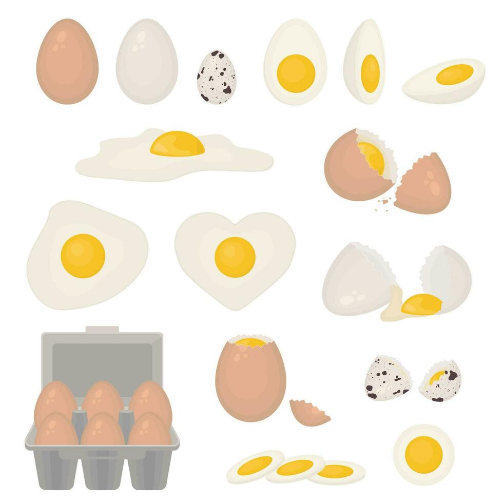 dessin animé Couleur des œufs différent formes Icônes ensemble. vecteur