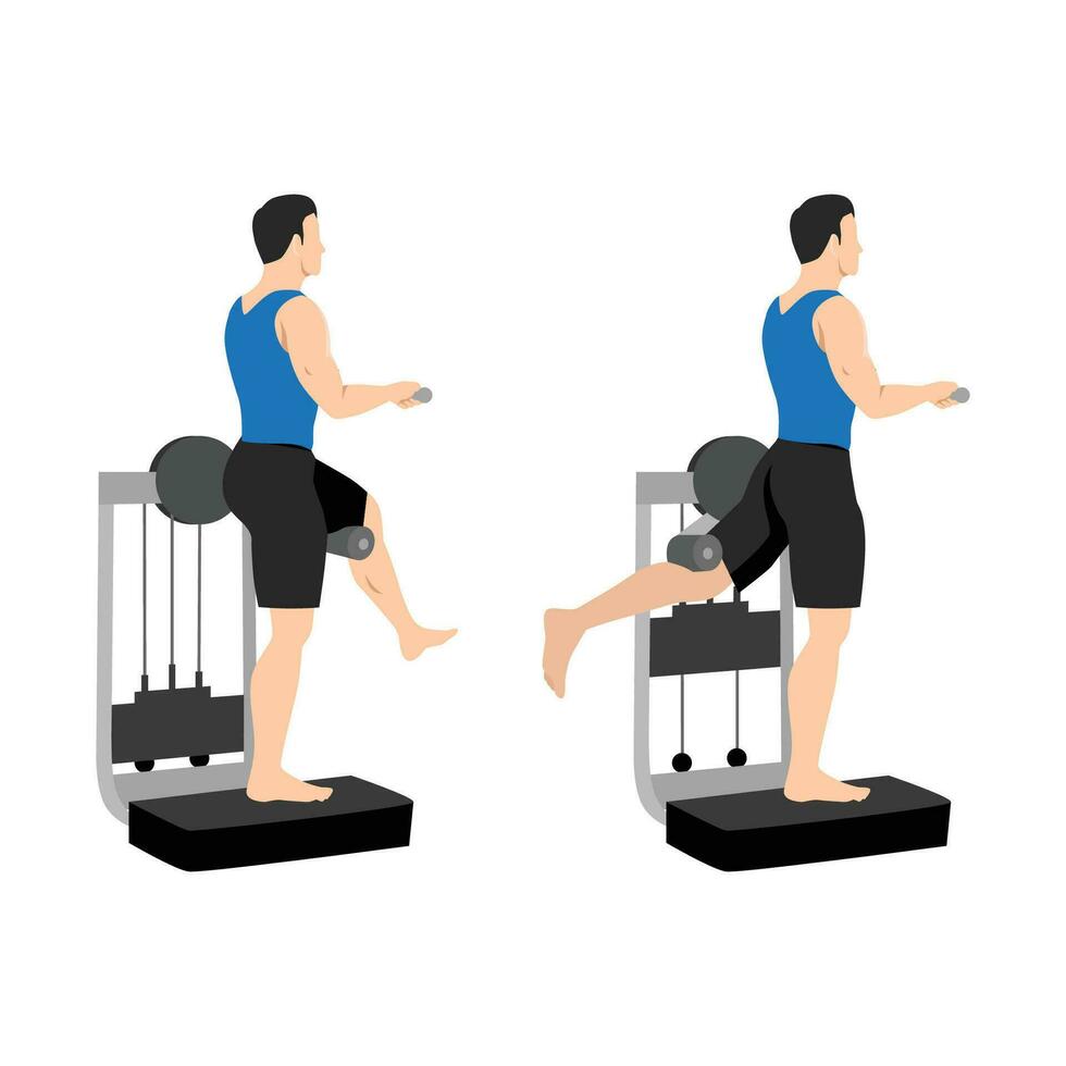 homme Faire arrière jambe élever faire des exercices avec machine. levier permanent arrière donner un coup exercer. vecteur