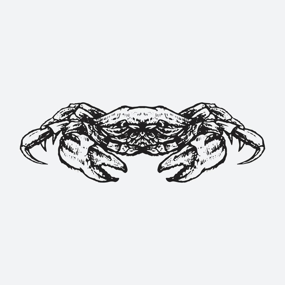 illustration de dessin de crabe vecteur