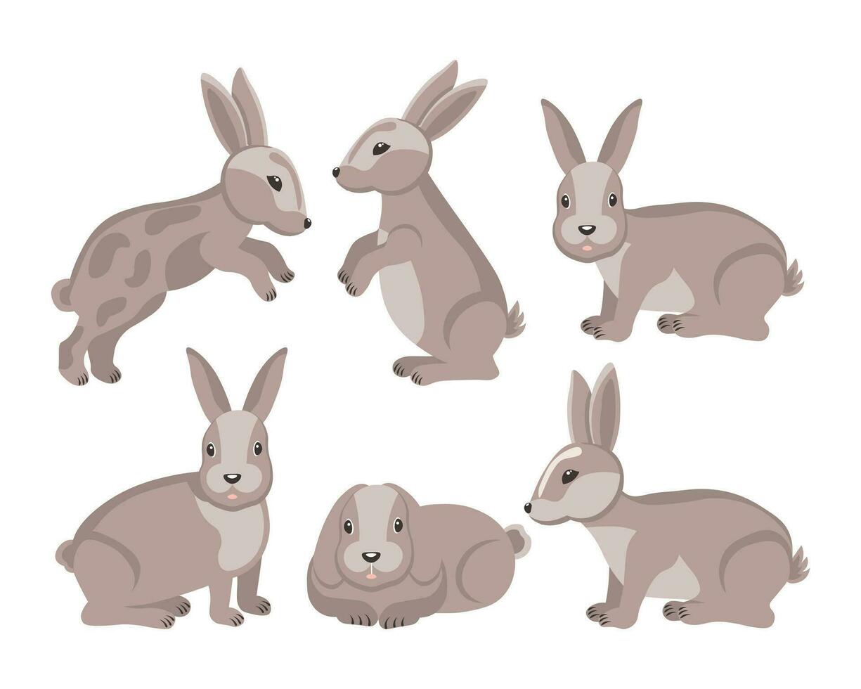 ensemble de mignonne réaliste lapins, lièvres dans différent pose. animal illustration, vecteur