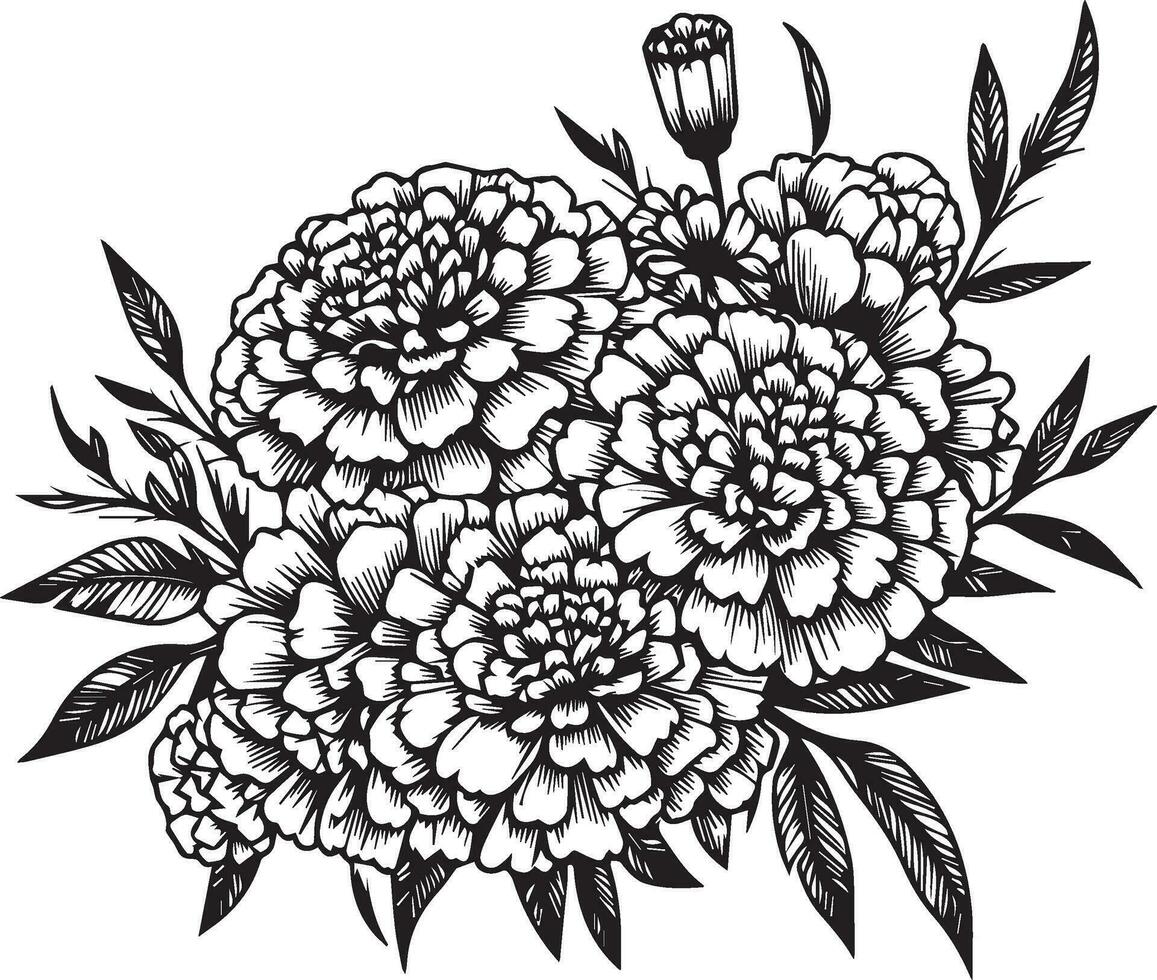 ensemble de une décoratif stylisé souci fleur isolé sur blanc Contexte. très détaillé vecteur illustration, griffonner et zentangle style, tatouage conception fleur souci, souci ligne dessin