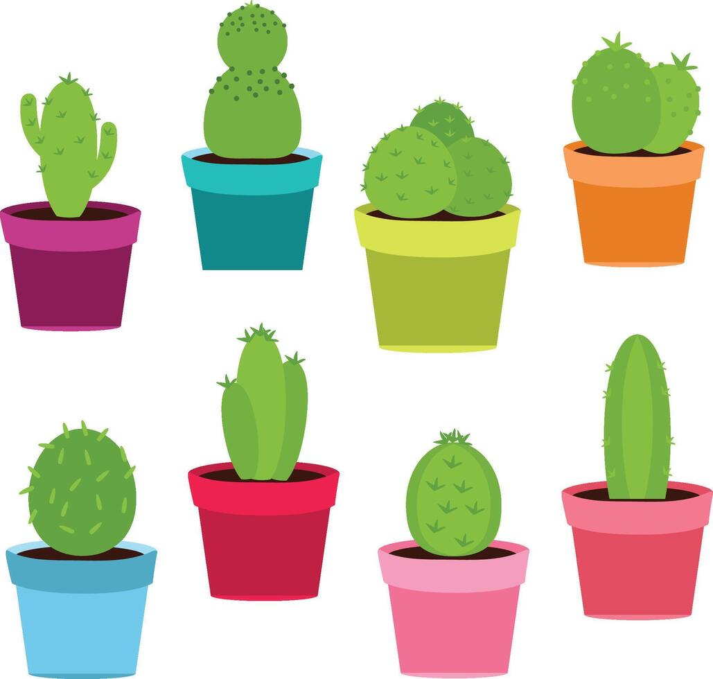 cactus succulent botanique clipart ensemble vecteur