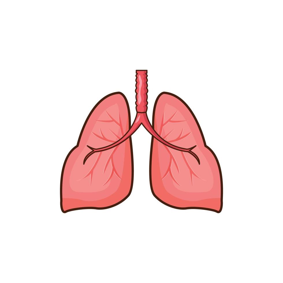 illustration vectorielle d'organe de poumons humains. conception isolée des poumons vecteur