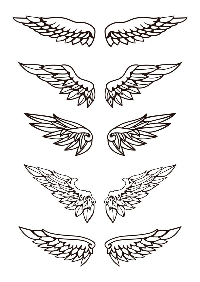 illustration de l'ensemble de collection d'ailes vecteur