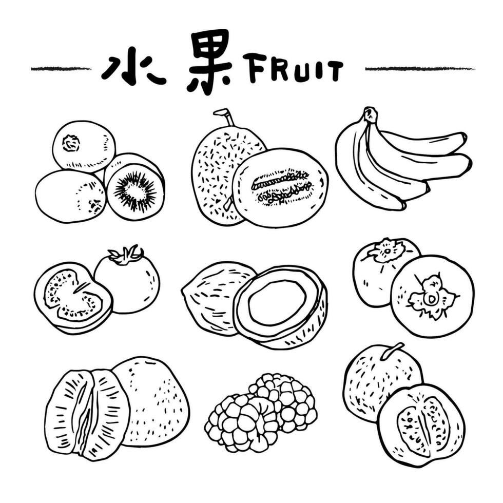 main tiré ligne fruit illustration. en bonne santé nourriture concept. coloré gros collection avec des fruits et des légumes. vecteur