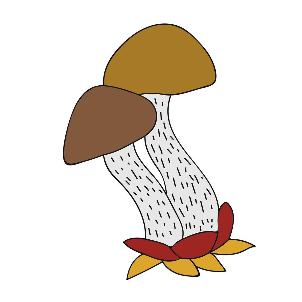 champignon de dessin animé pour la conception d'automne. forêt vecteur