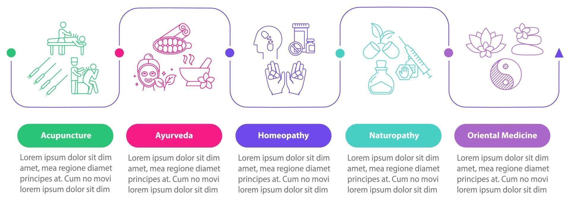 modèle d'infographie vectorielle de médecine traditionnelle vecteur