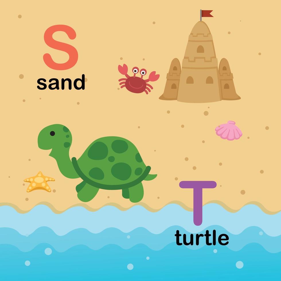 lettre de lalphabet s-sable,t-tortue,illustration vecteur