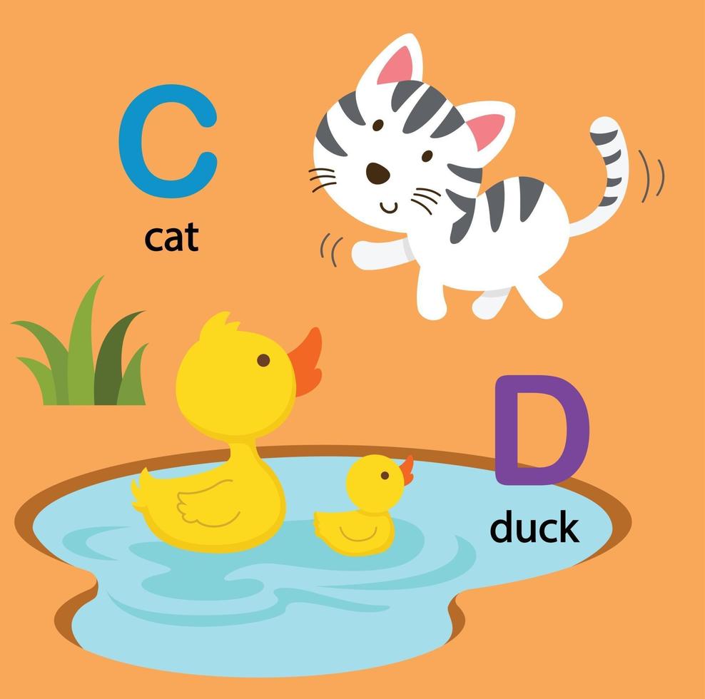 illustration isolé alphabet lettre c-cat,d-canard vecteur