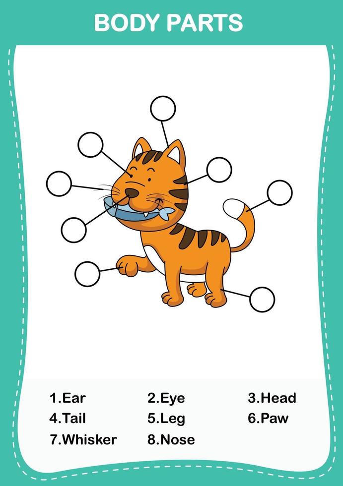 vocabulaire du chat partie du corps, écrivez le nombre correct de parties du corps vecteur