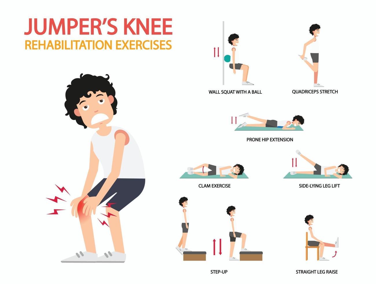 Exercices de rééducation du genou du cavalier infographique, illustration. vecteur