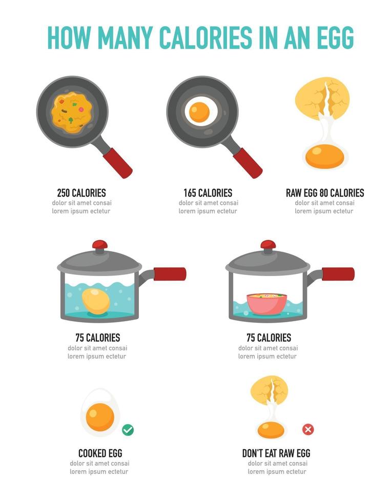 combien de calories dans un oeuf infographie, illustration vectorielle vecteur