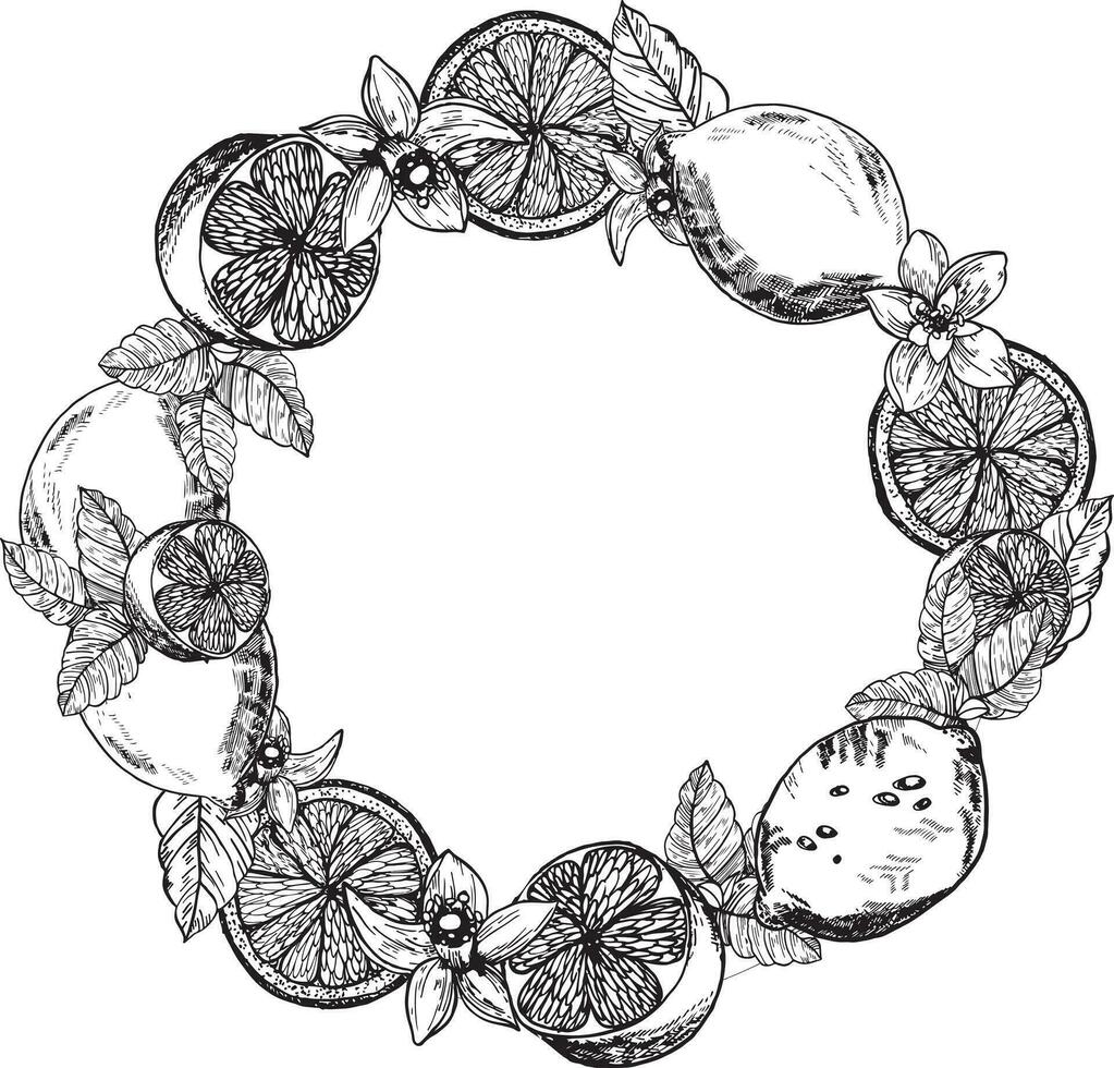 rond vecteur Cadre avec citrons et fleurs. et agrumes citrons ligne art graphique. citron tranches avec branches et fleurs noir encre graphique