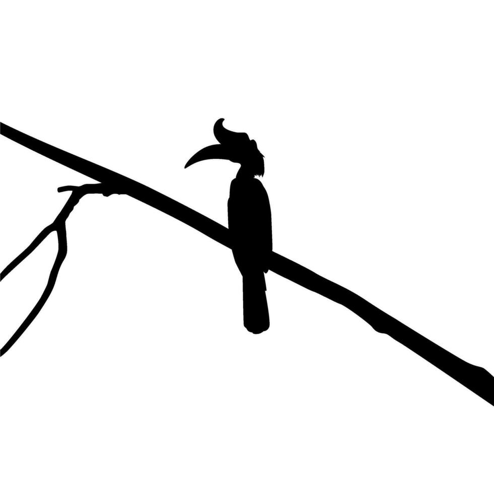 génial klaxon oiseau silhouette perché sur le branche arbre silhouette. vecteur illustration