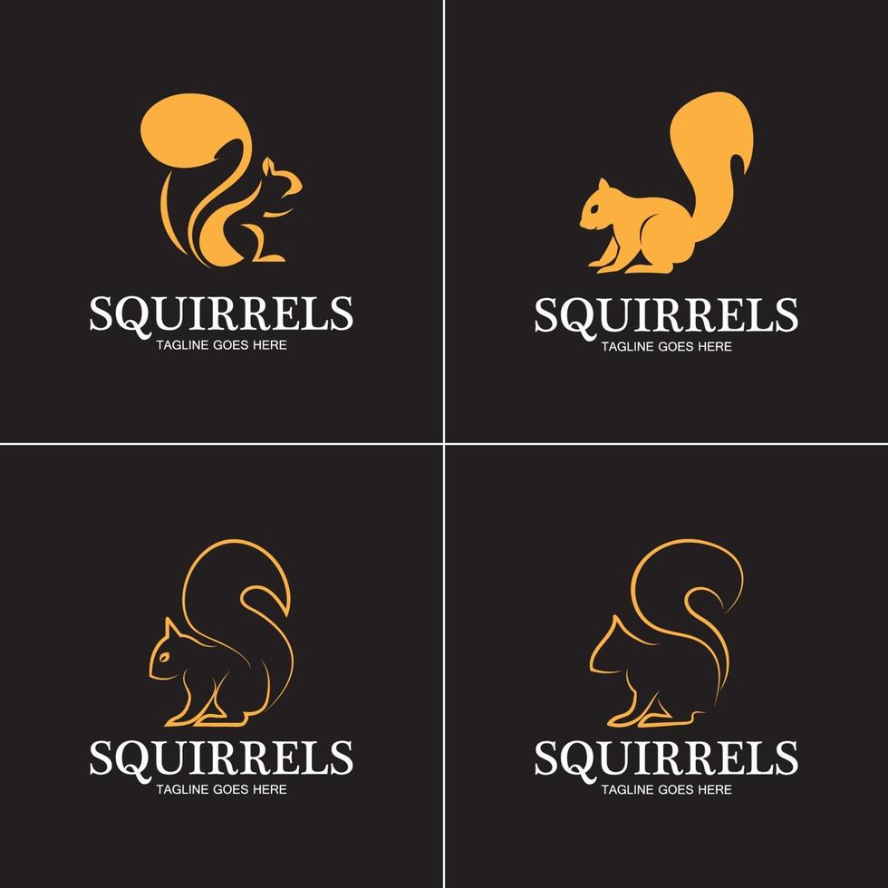 Écureuil créatif animal logo design icône symbole illustration-vector vecteur