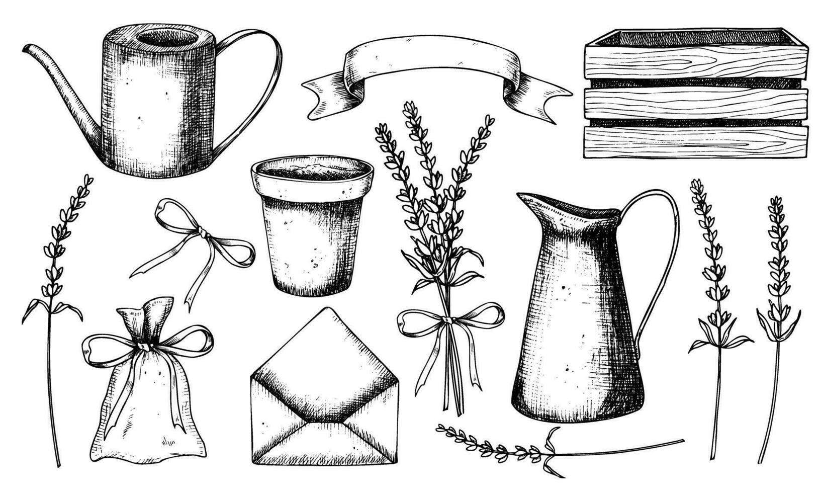 lavande floral ensemble. main tiré vecteur des illustrations de sauvage Provence herbes dans blanc et noir couleurs. rustique paquet avec fleur pot pour sauvage herbes et arrosage peut. ancien jardin outils pour clipart