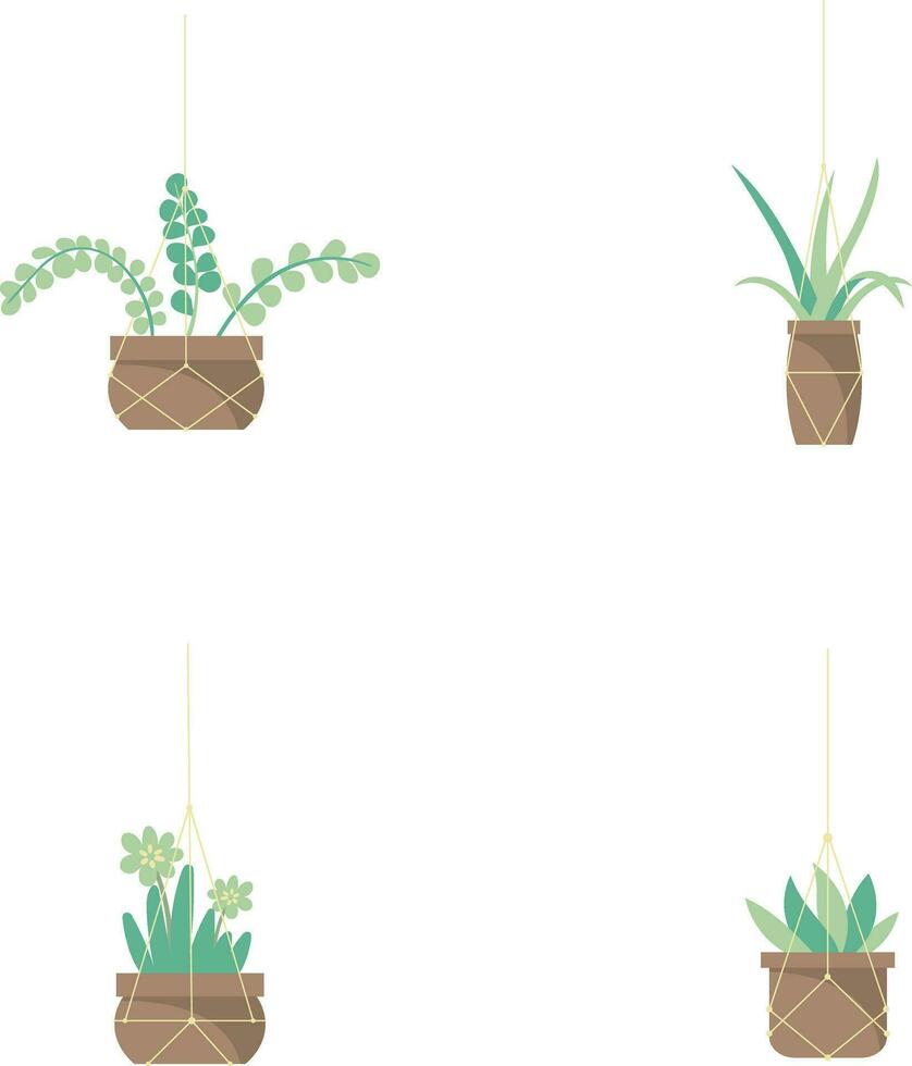 pendaison mis en pot plante dans blanc Contexte. vecteur illustration ensemble.