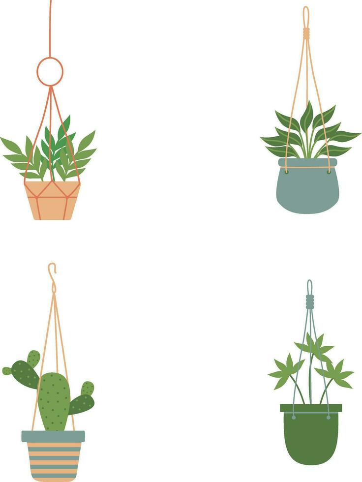 pendaison mis en pot plante avec différent type plante. vecteur illustration ensemble.