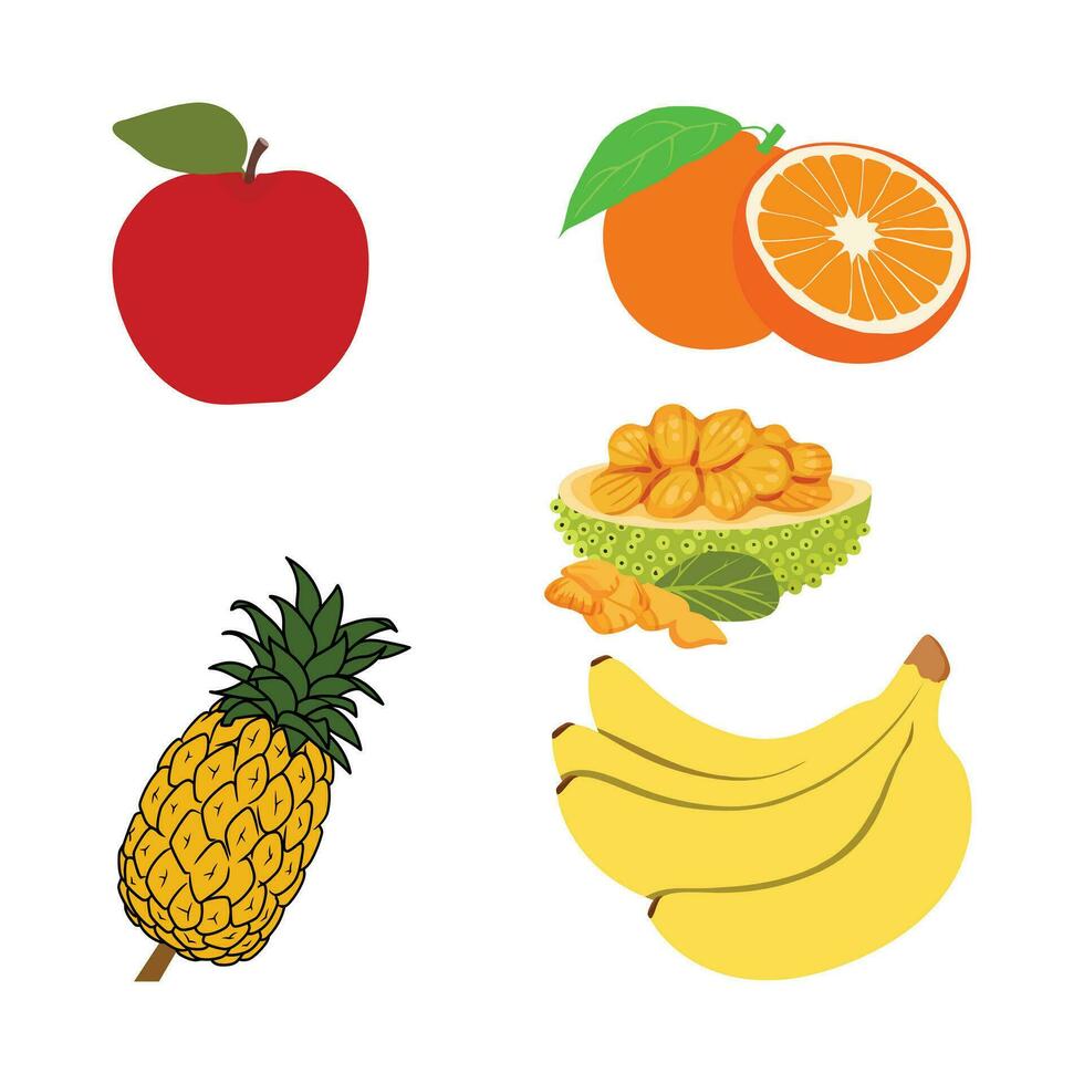 ensemble de vecteur des illustrations de des fruits.