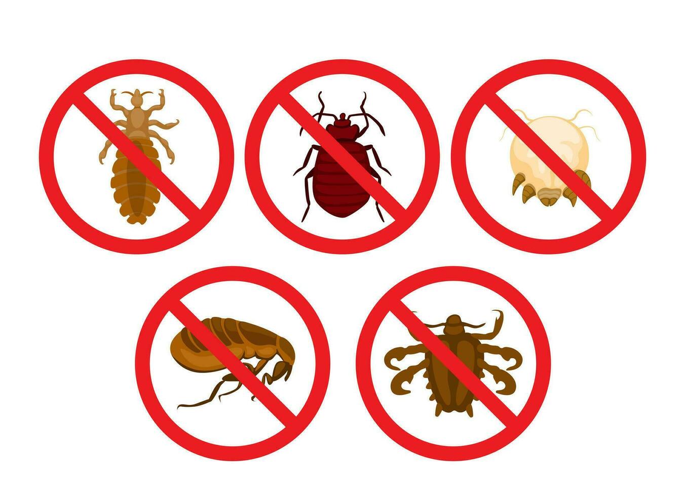 non les poux et punaise insecte symbole ensemble dessin animé illustration vecteur