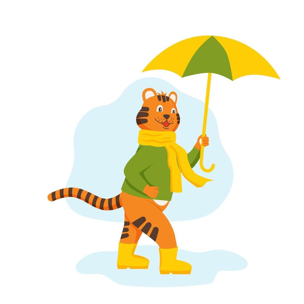 le petit tigre de caractère marche à travers les flaques d'eau avec un parapluie vecteur