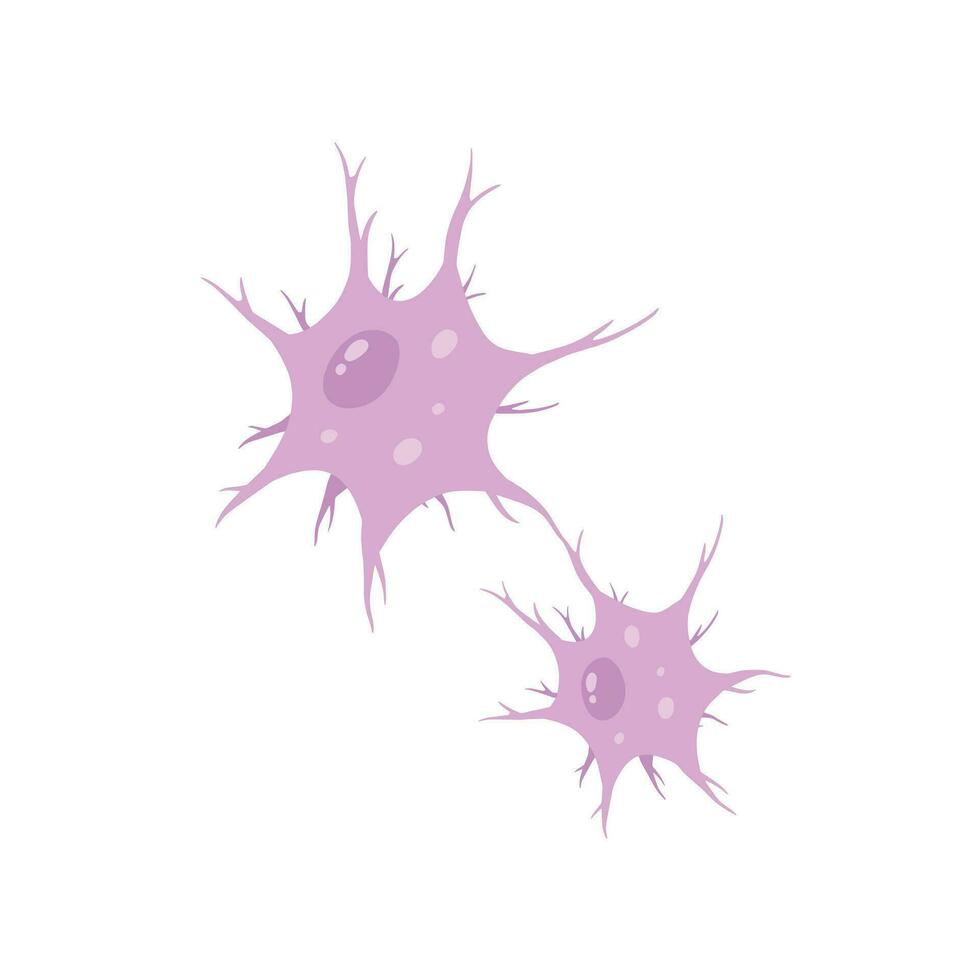 neurone cellule. cerveau activité et dendrites. membrane et le noyau. médical concept de Mémoire et connexion. éducatif illustration isolé sur blanc vecteur