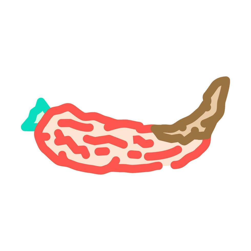 poivre pourri nourriture Couleur icône vecteur illustration