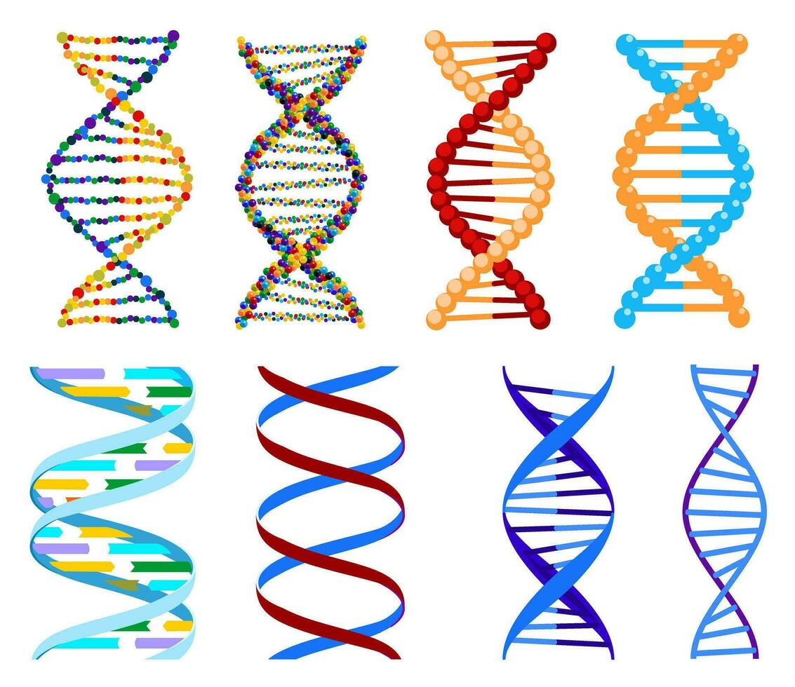 adn, génétique signe, éléments et Icônes collection. pictogramme de ADN ensemble. symbole isolé. pouvez être utilisé pour flux de travail mise en page, diagramme, nombre options. ADN vecteur