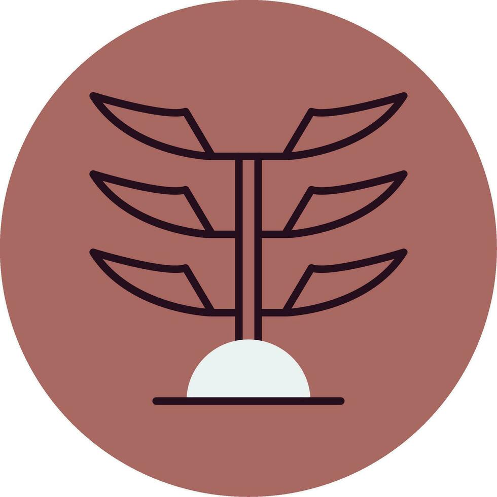 araucaria vecteur icône