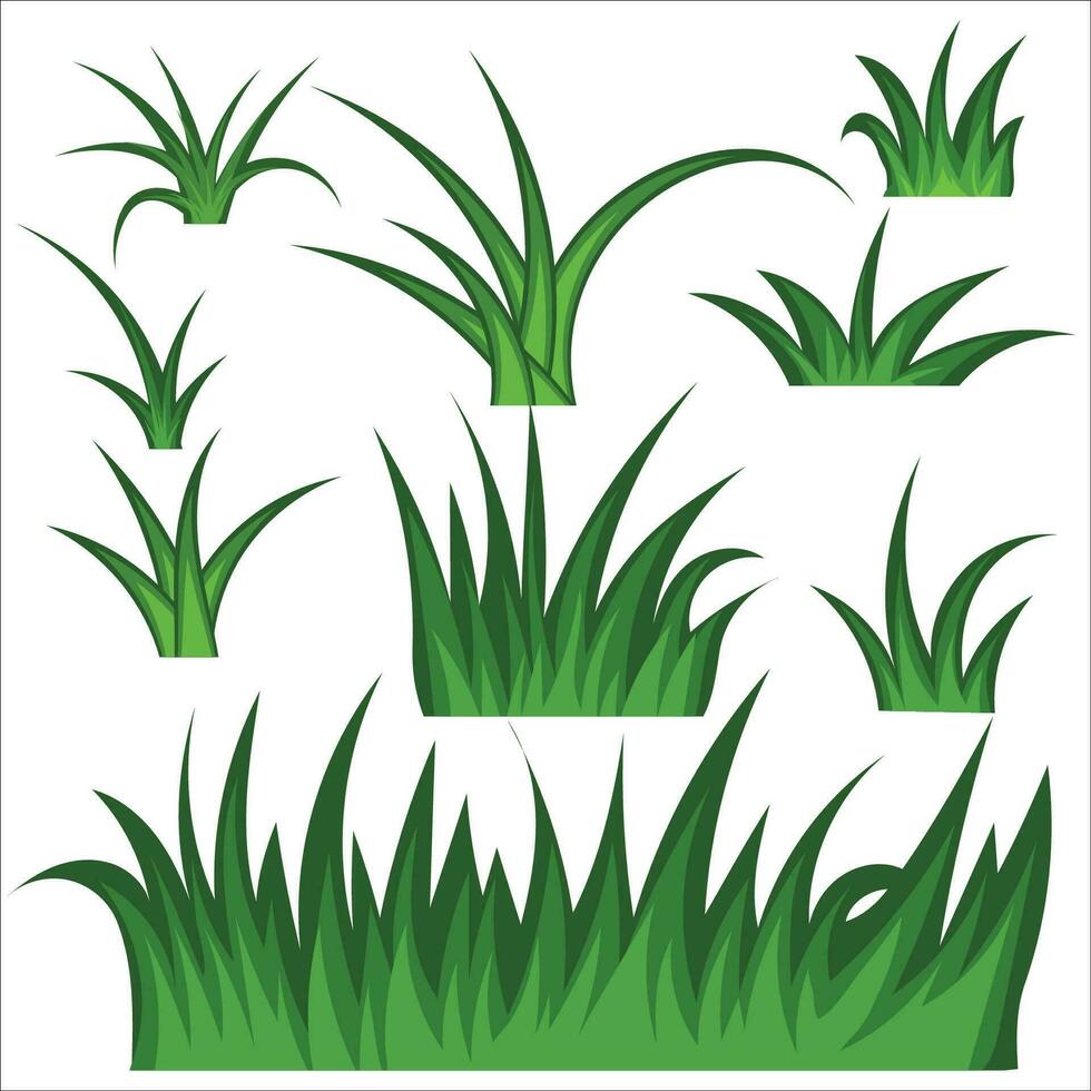 herbe vecteur png