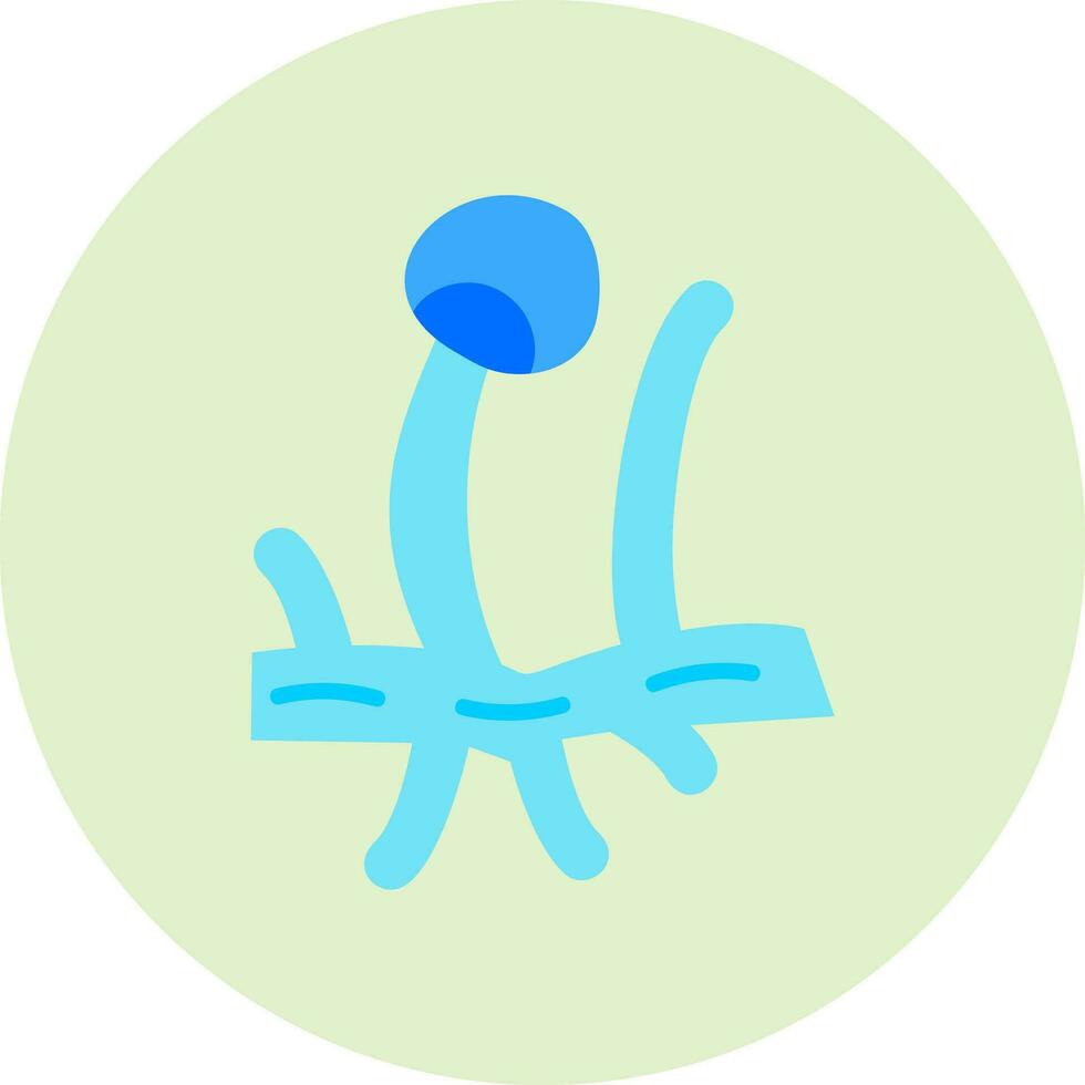 rhizopus vecteur icône