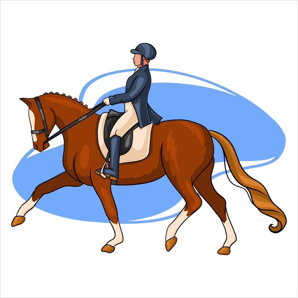 équitation, femme, équitation, cheval dressage, dans, dessin animé, style vecteur