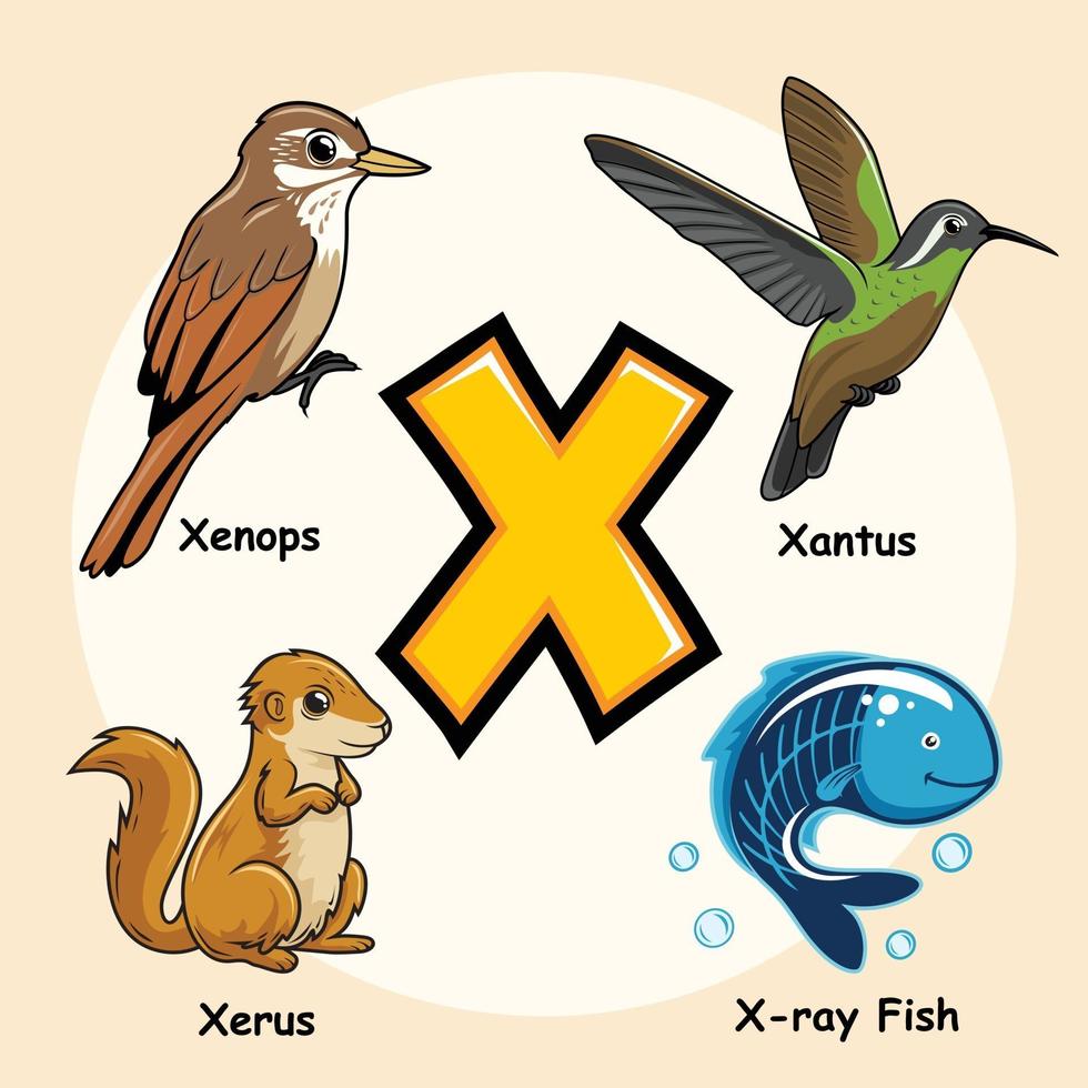 animaux alphabet lettre x pour x ray poisson tetra xenops xantus xerus vecteur