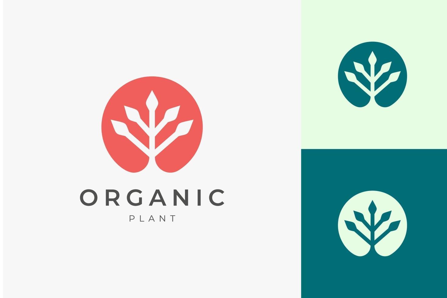 modèle de logo biologique naturel avec une forme de plante simple et propre vecteur