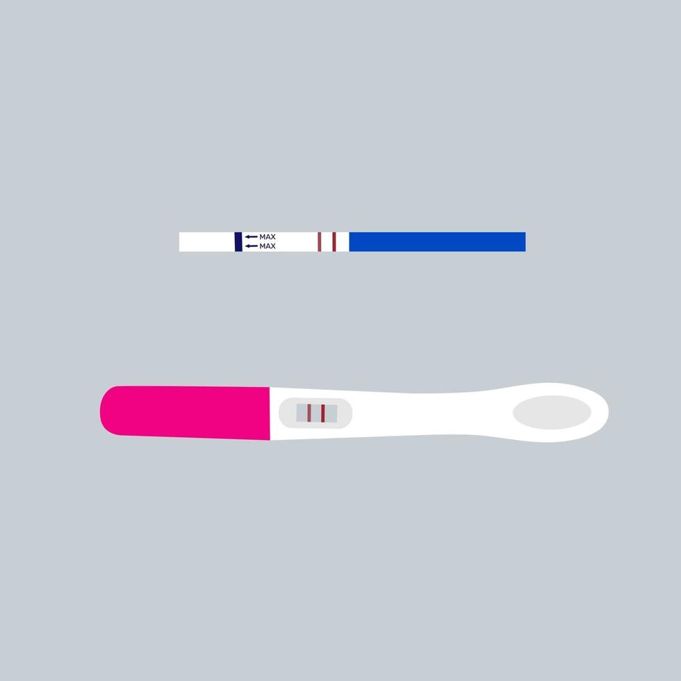 test de grossesse ou d'ovulation positif avec deux bandelettes. vecteur