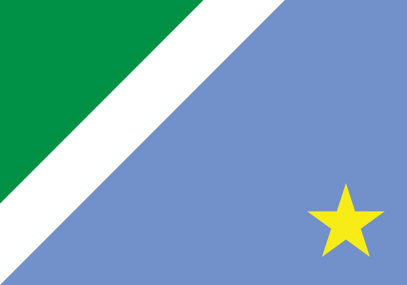 drapeau officiel du mato grosso do sul vecteur