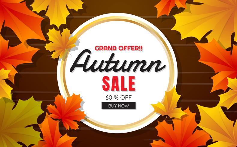 bannière de modèle de vente automne Vector background