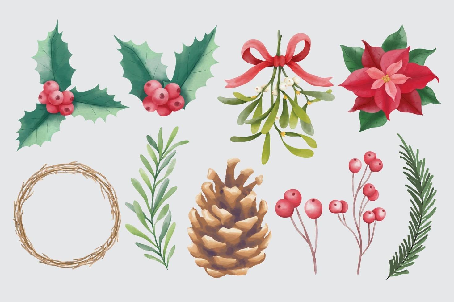 éléments floraux de noël et d'hiver à l'aquarelle vecteur