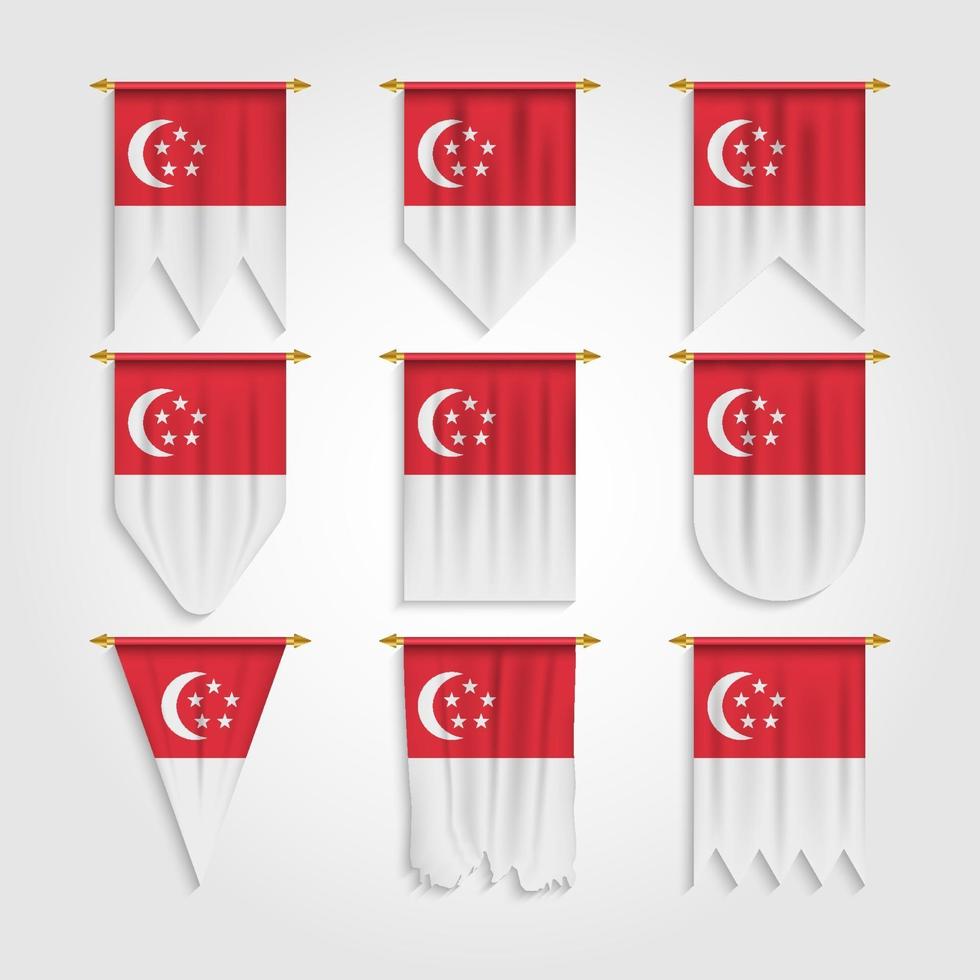 drapeau de singapour sous différentes formes vecteur