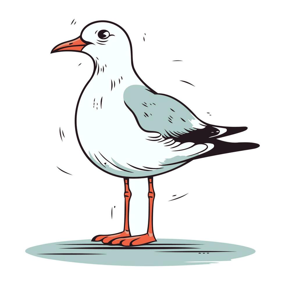 mouette. main tiré vecteur illustration de une mouette.