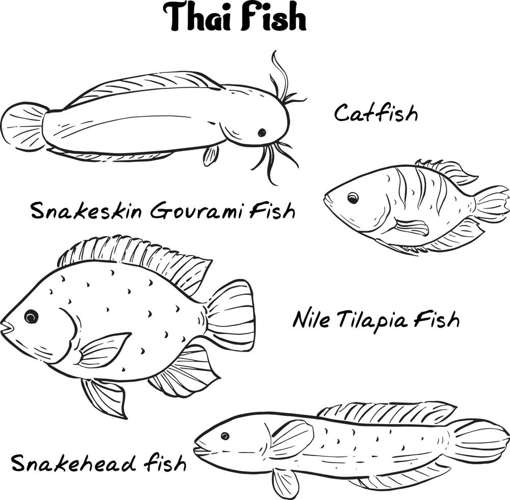 vecteur de dessin à la main de poissons thaïlandais