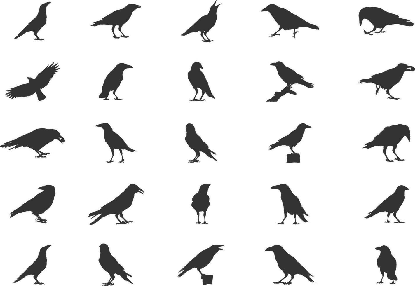 charogne corbeau silhouettes, charogne corbeau en volant silhouette, corbeau silhouettes, charogne corbeau vecteur ensemble