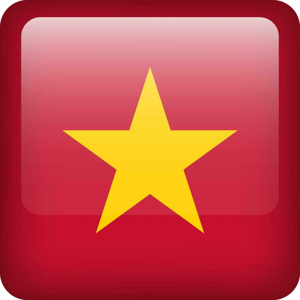 vietnam drapeau bouton. carré emblème de vietnam. vecteur