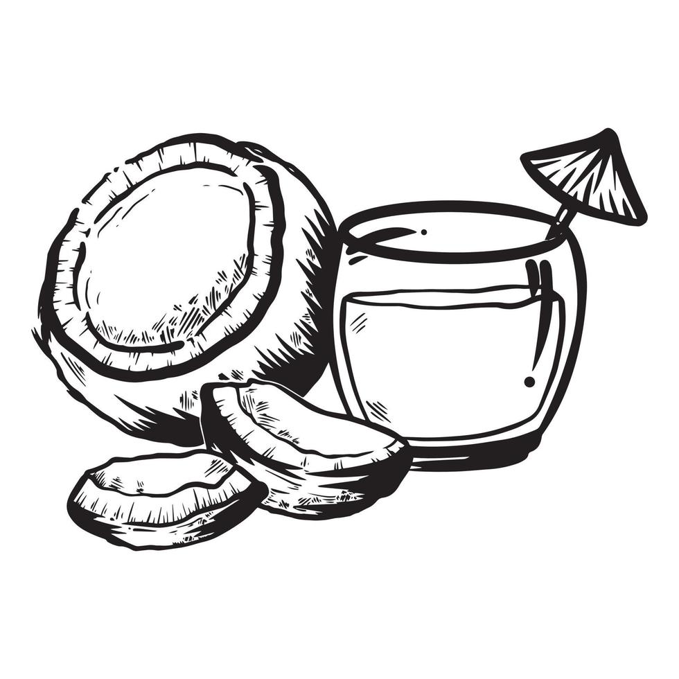 illustration en noir et blanc dessinée à la main de noix de coco et de son eau vecteur